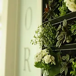 La Paulowna Boutique Hotel