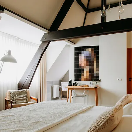 Hotel La Paulowna Boutique