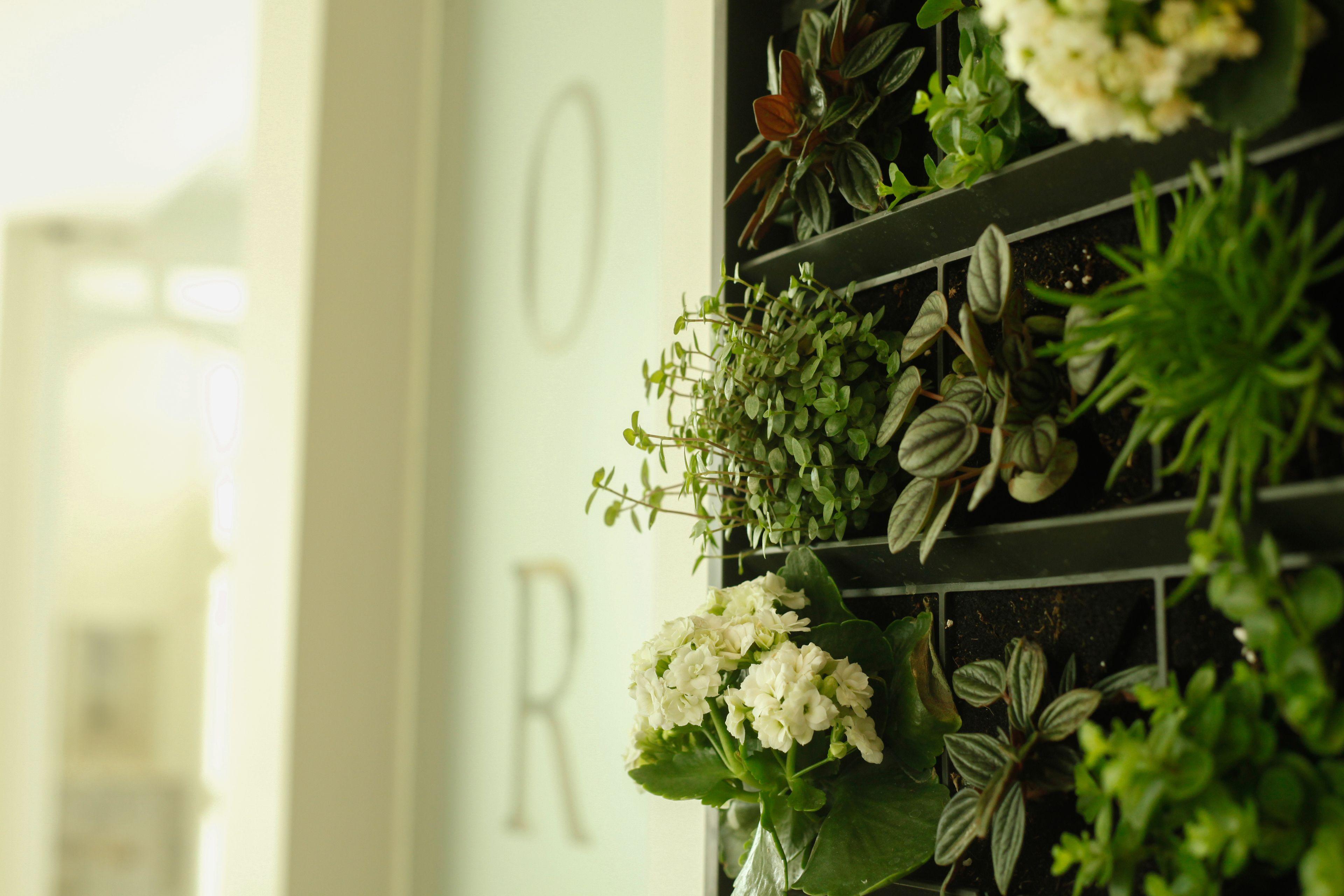 La Paulowna Boutique Hotel