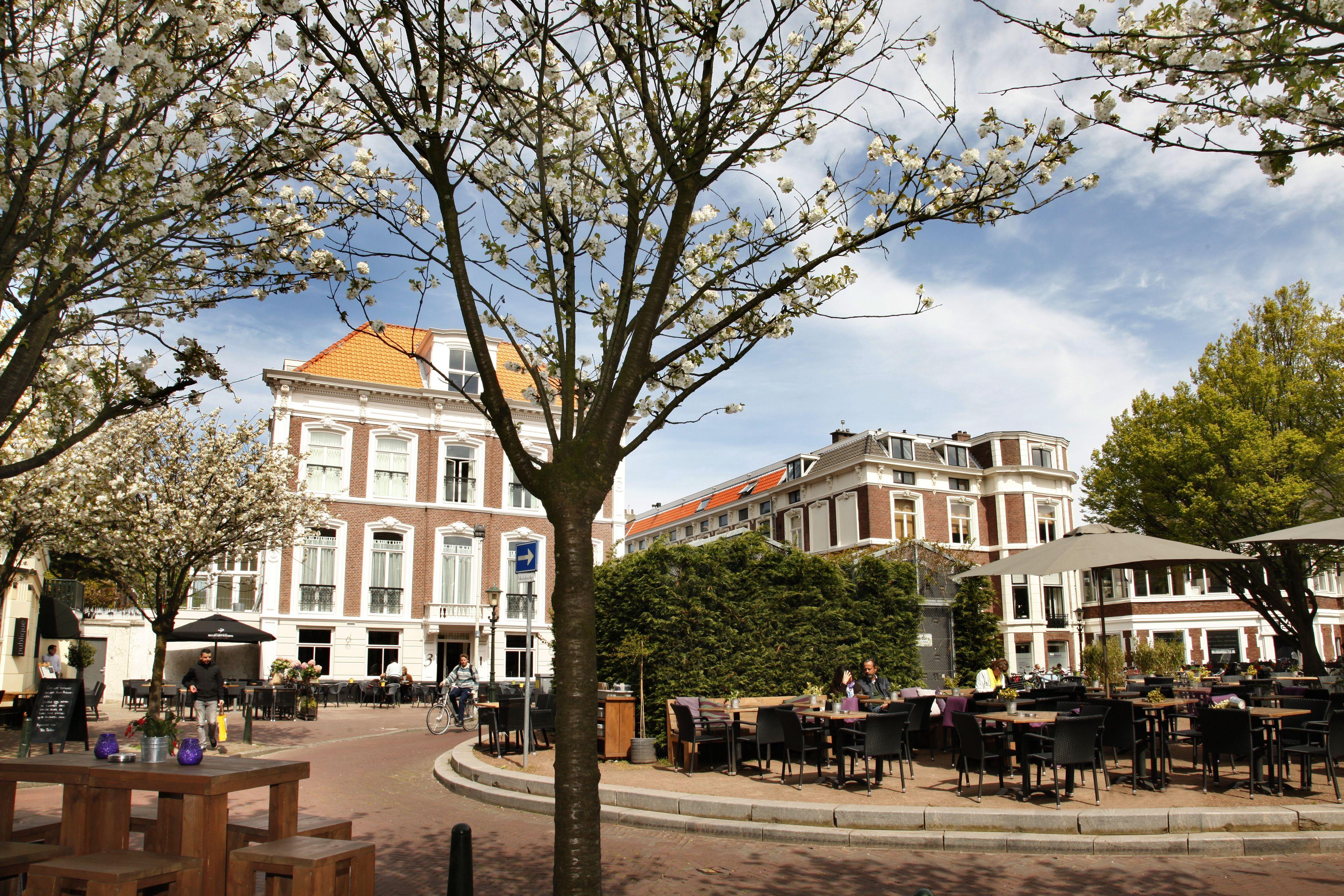 Hotel La Paulowna Boutique 3*